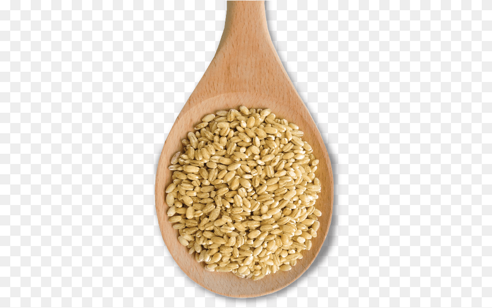 With Its Rich Texture Pearl Barley Makes An Excellent Ottawa Valley Grain Products Inc, Cutlery, Spoon, Food, Produce Free Png