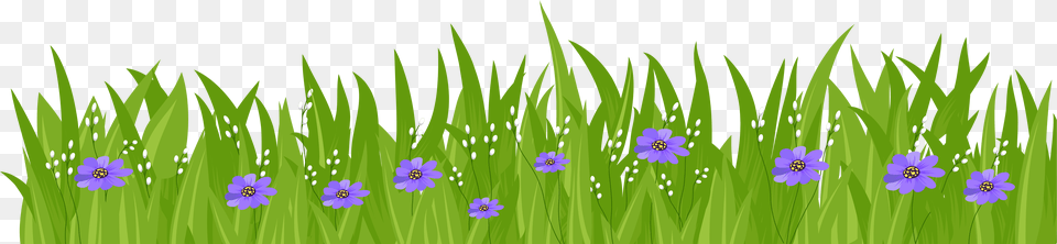 With Purple Flowers Grass With Flowers Clipart, Iris, Flower, Plant, Daisy Free Transparent Png