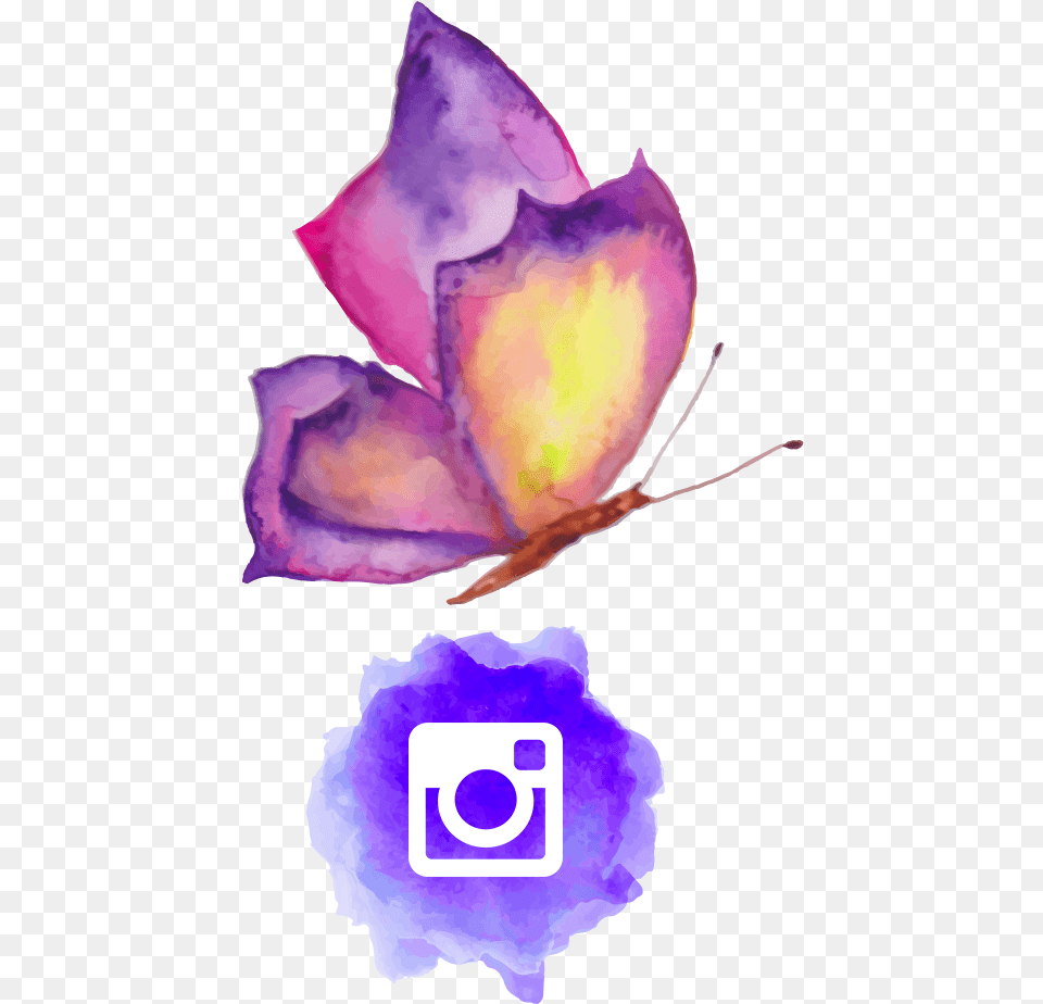 With The Release Of Instagram Stories The Platform Instagram, Flower, Petal, Plant, Purple Png