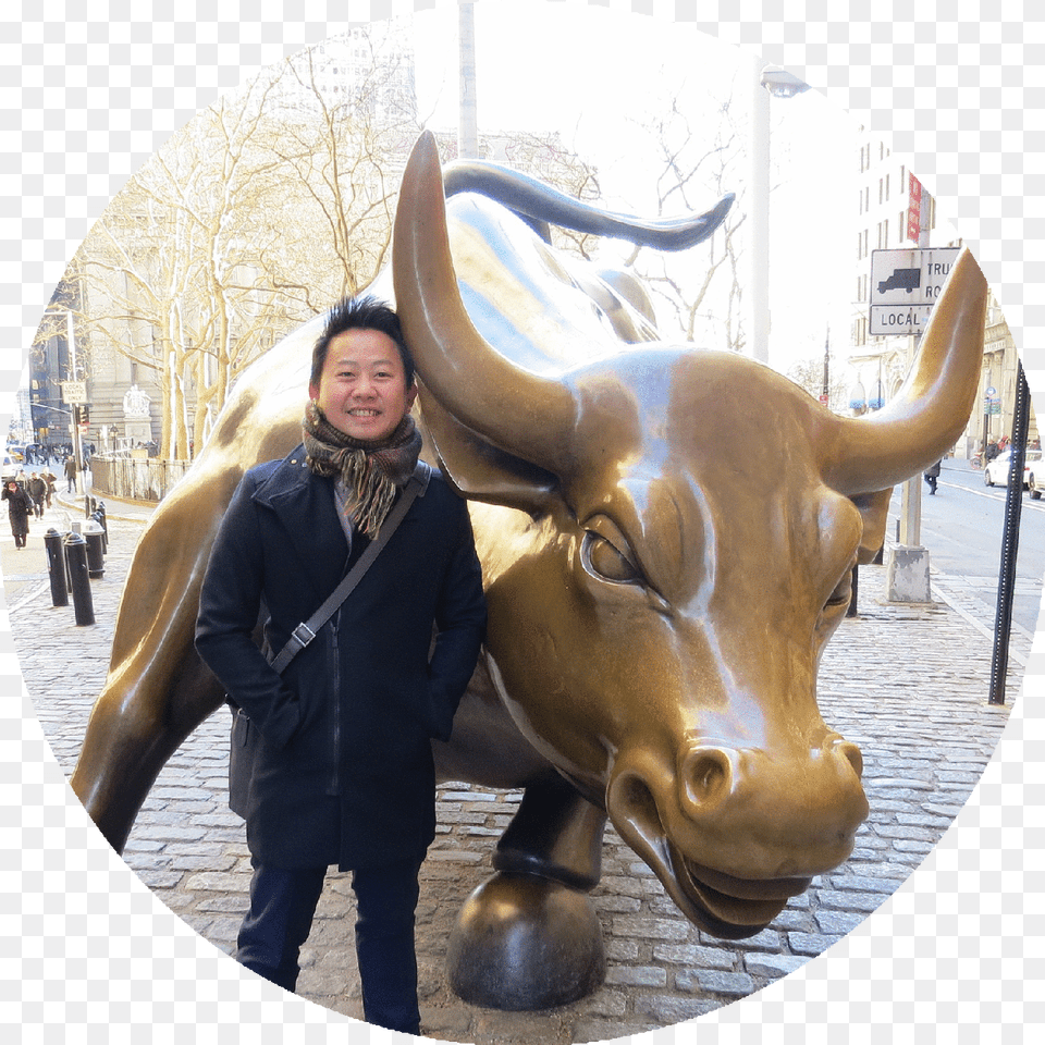 With The Wall St Bull Charging Bull, Animal, Photography, Mammal, Adult Png Image