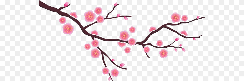 With The Weather Changing Quite Often It Is Difficult Simple Cherry Blossom Drawing, Flower, Plant, Petal, Cherry Blossom Free Png