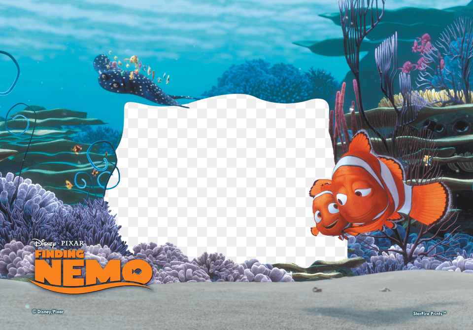With This 10 X 7 Curved Glass Print Bring The Magic Finding Nemo Frame Free Transparent Png