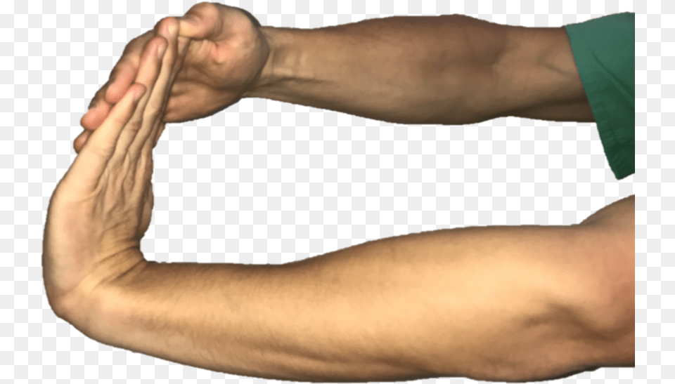 With Your Elbow Straight And Palm Facing The Floor Palm And Elbow, Arm, Body Part, Person, Adult Png