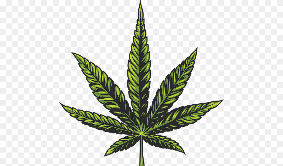 Wiz Khalifa Insta Dp, Leaf, Plant, Weed, Hemp Free Png