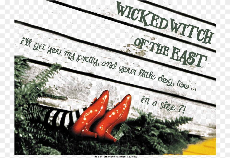 Wizard Of Oz Size 7 Women S T Shirt Wicked Witch Legs Under House, Clothing, Footwear, Shoe, Animal Free Png Download