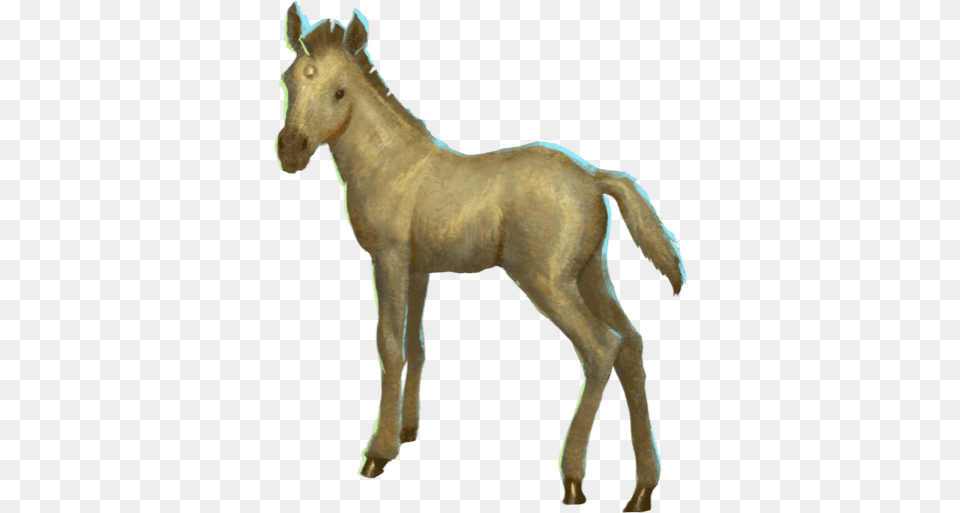 Wizards Baby Unicorn Wizards Unite, Animal, Colt Horse, Horse, Mammal Free Transparent Png