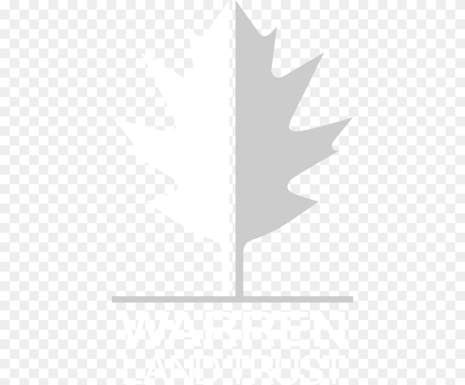 Wlt Grayscale Poster, Leaf, Plant, Maple Leaf Free Transparent Png