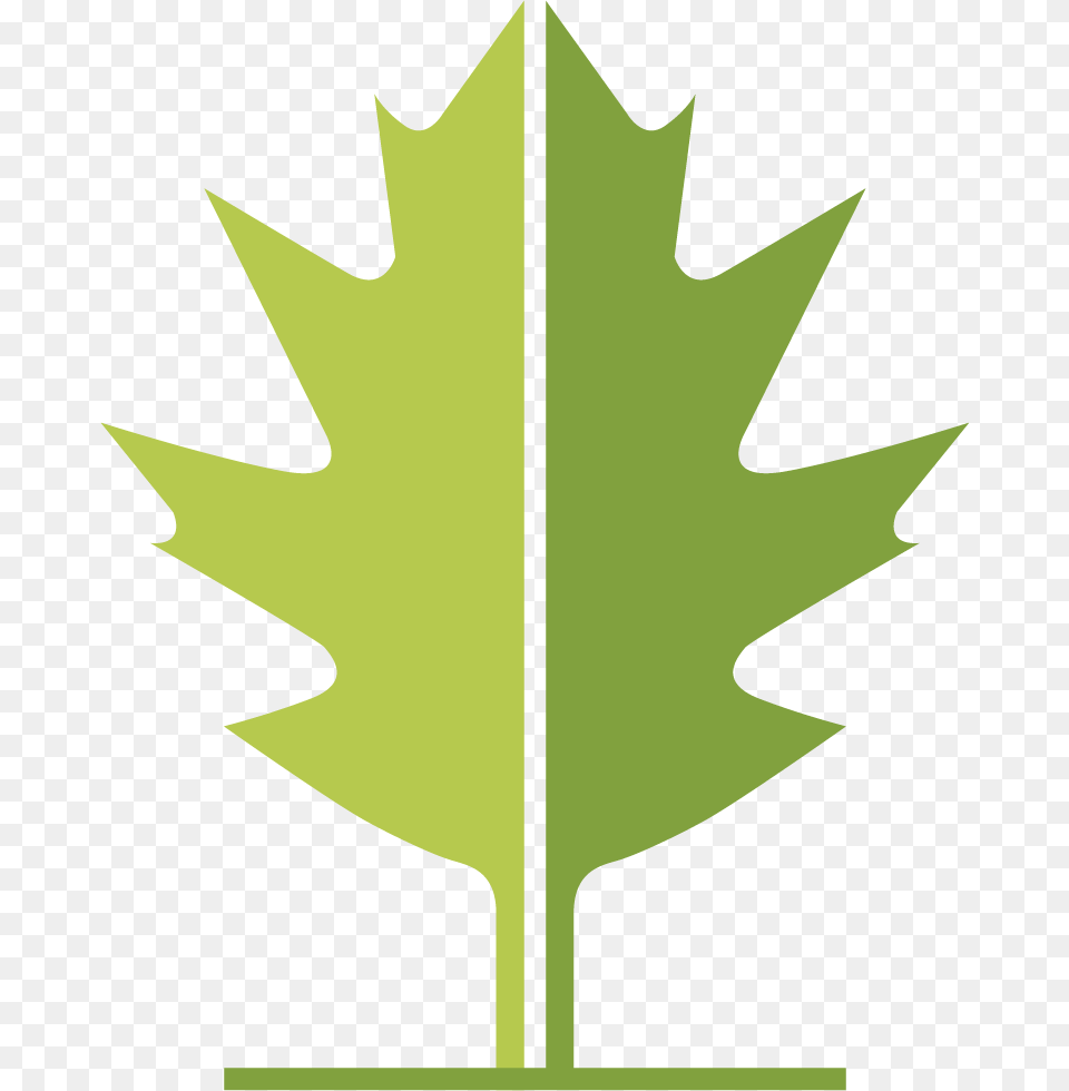 Wlt Leaf Maple Leaf, Plant, Cross, Symbol, Maple Leaf Png