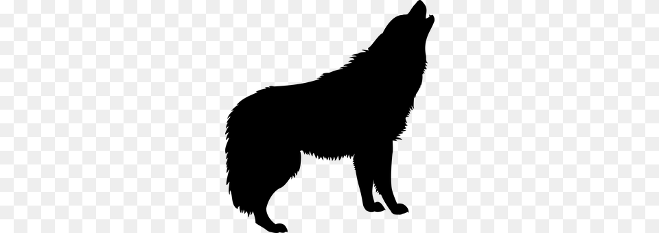 Wolf Gray Free Transparent Png