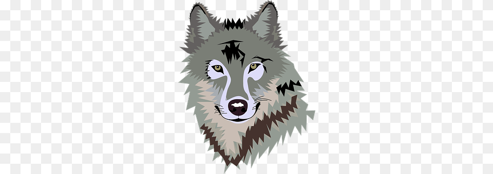 Wolf Animal, Mammal, Baby, Person Png
