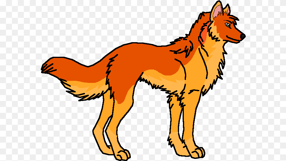 Wolf, Person, Animal, Coyote, Mammal Free Transparent Png