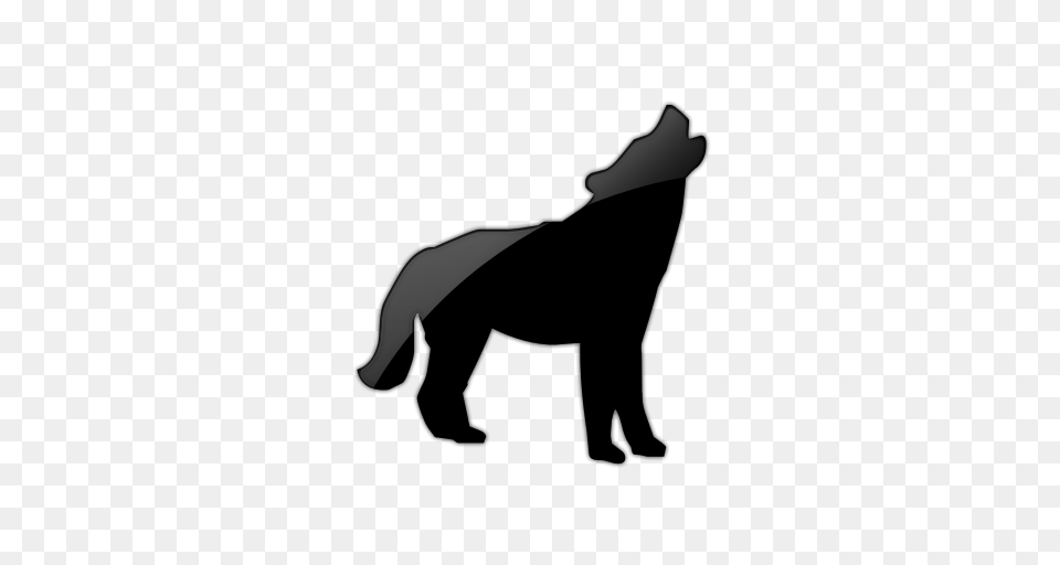 Wolf, Silhouette, Kneeling, Person Free Transparent Png