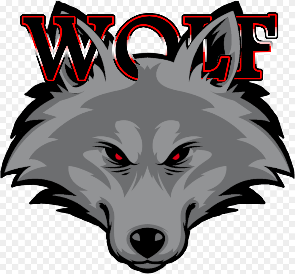 Wolf, Animal, Mammal, Baby, Person Free Png
