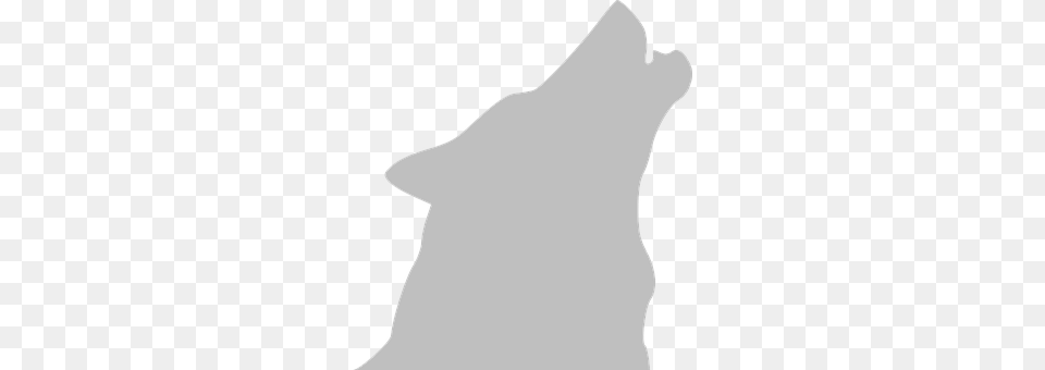 Wolf Silhouette Png