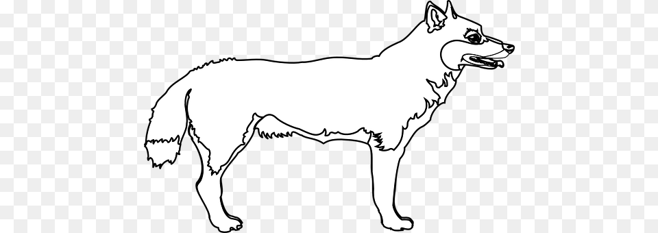 Wolf Animal, Canine, Dog, Mammal Free Transparent Png