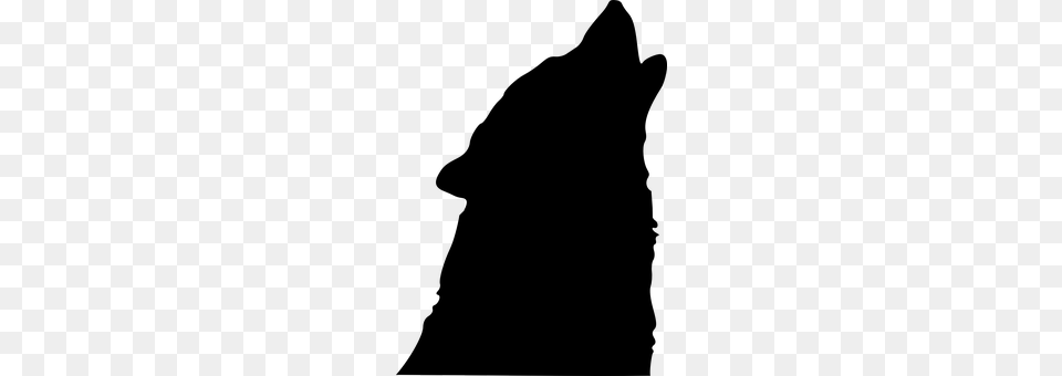 Wolf Gray Free Png Download