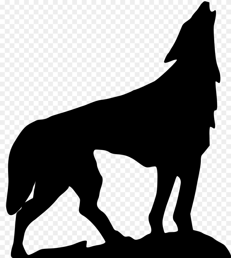 Wolf, Gray Free Png