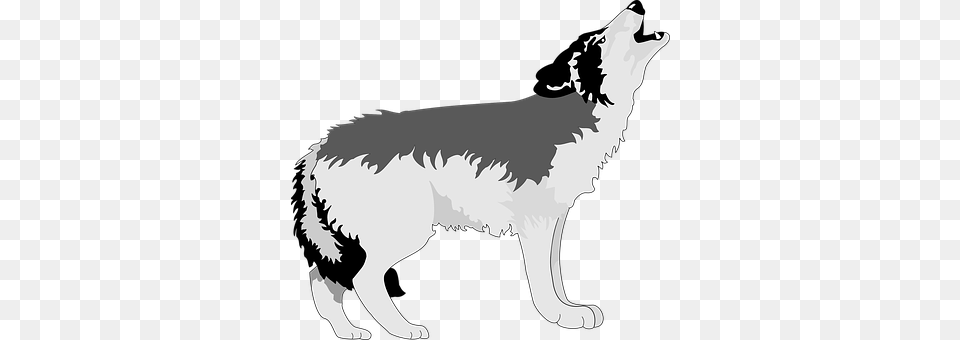 Wolf Person, Animal, Mammal, Canine Png Image