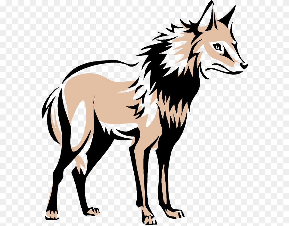 Wolf, Person, Animal, Mammal, Coyote Png