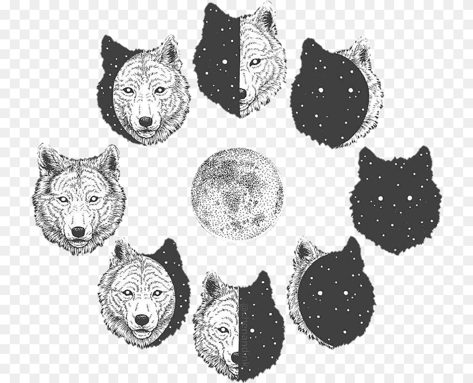 Wolf Aesthetic Tumblr Wolf And Moon Drawing, Animal, Wildlife, Bear, Mammal Free Png Download