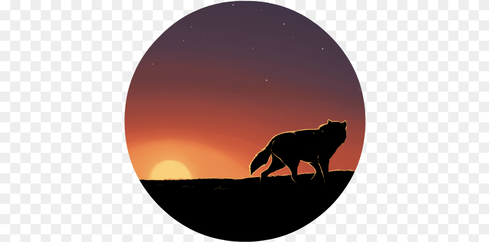 Wolf At Sunset Wallpaper By Brie91 D4gqklq My Little Pony Friendship Is Magic Fandom, Silhouette, Nature, Sky, Outdoors Free Png
