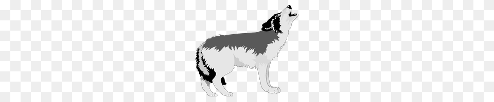 Wolf Category Clipart And Icons Freepngclipart, Animal, Canine, Dog, Mammal Free Transparent Png