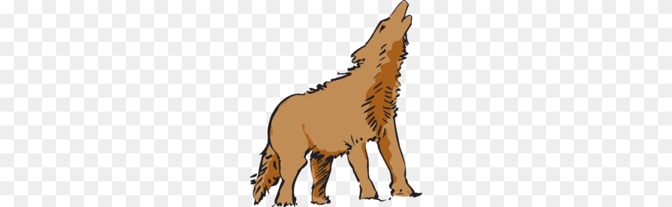 Wolf Clipart, Animal, Coyote, Mammal, Person Png Image
