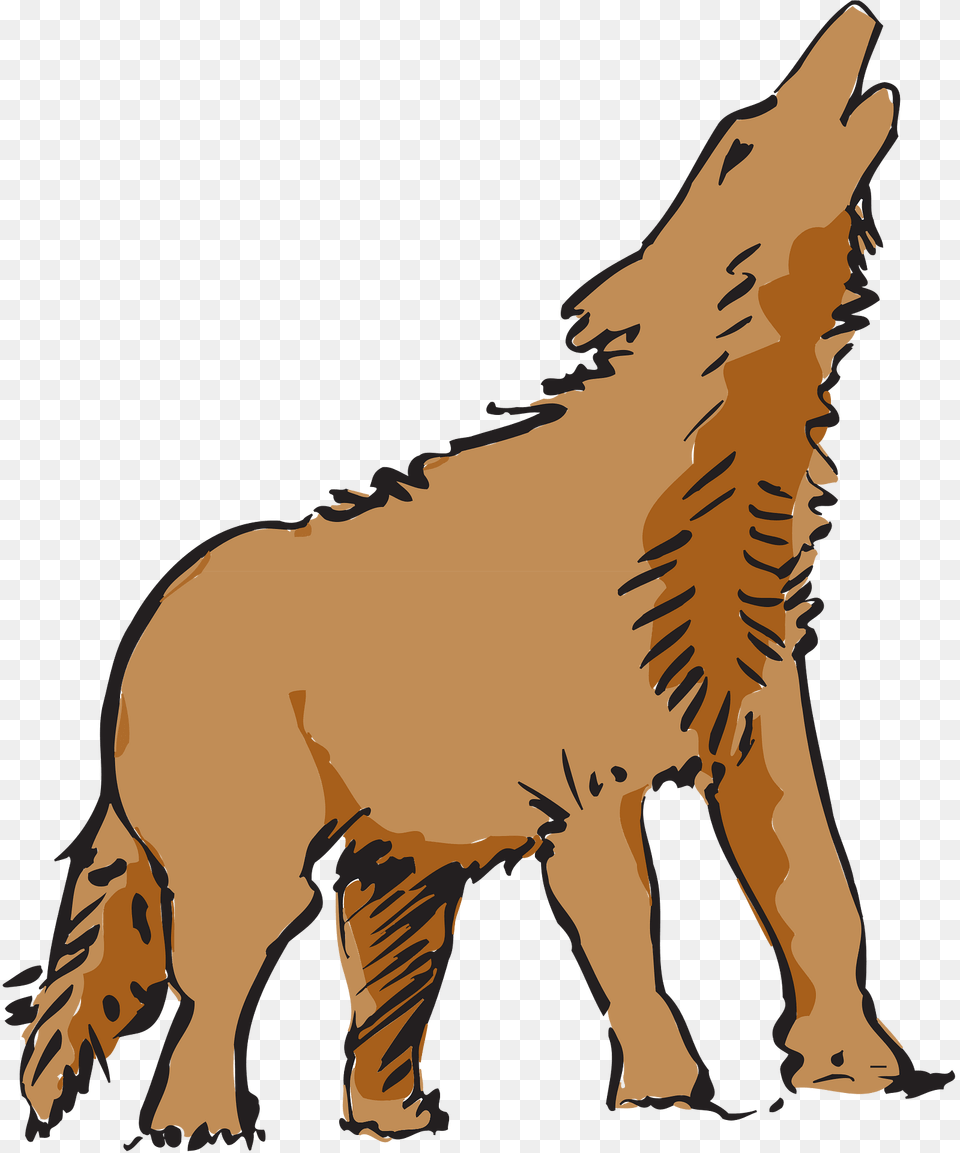 Wolf Clipart, Animal, Coyote, Mammal, Lion Free Transparent Png