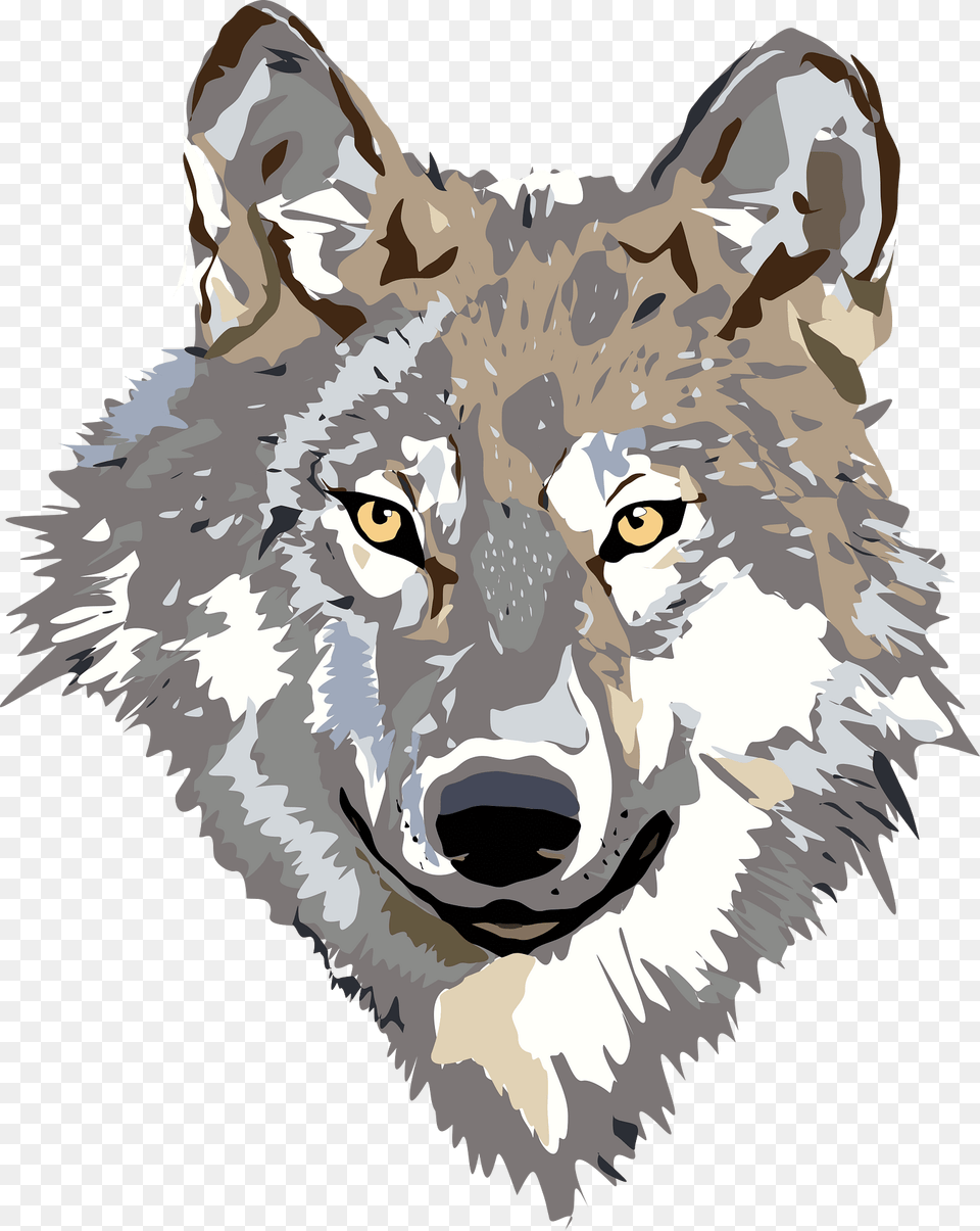 Wolf Clipart, Animal, Mammal, Baby, Person Png