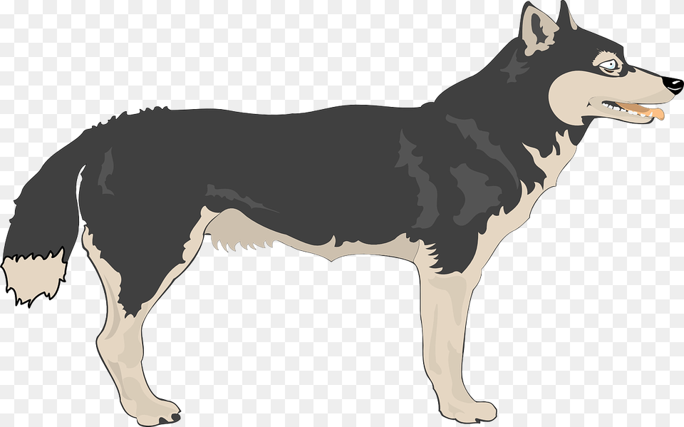 Wolf Clipart Animated Wolf Side View, Animal, Mammal, Dinosaur, Reptile Png