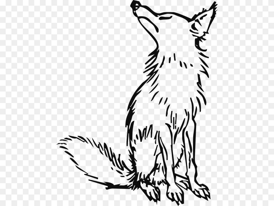 Wolf Clipart Outline Of Fox And Grapes, Animal, Mammal Png Image