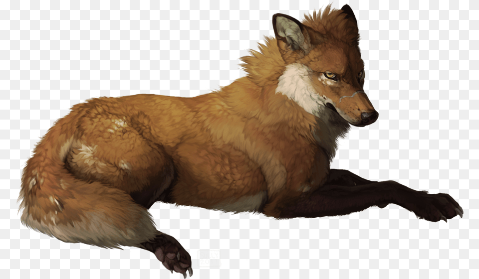 Wolf Derpygy Red Fox Anime Fox, Animal, Red Wolf, Mammal, Canine Free Png Download