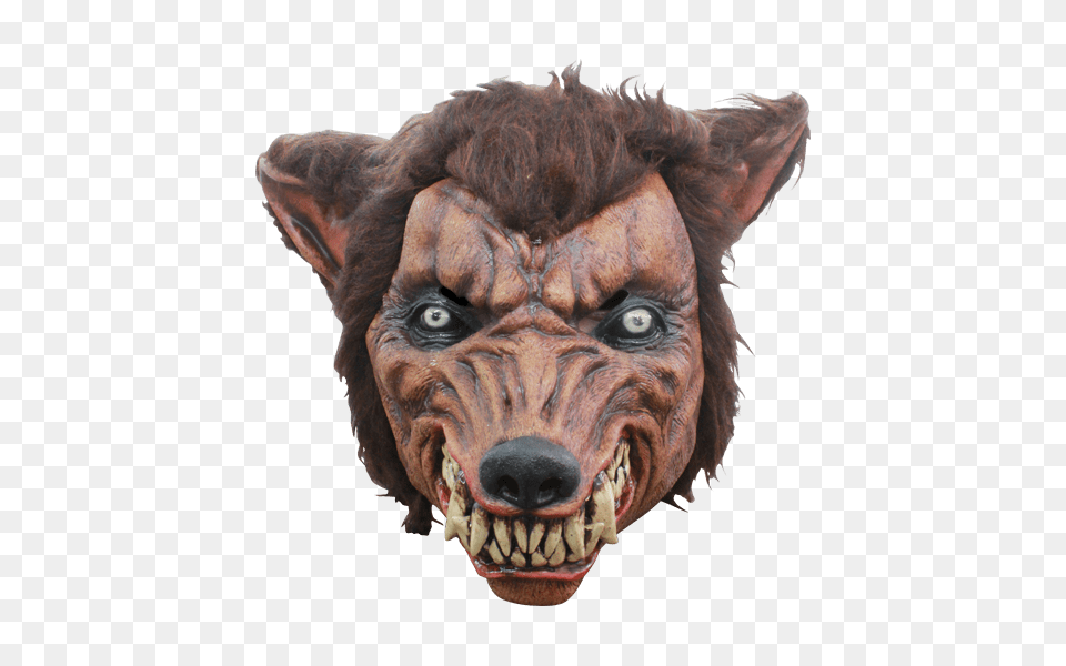 Wolf Dog Mask, Animal, Lion, Mammal, Wildlife Png