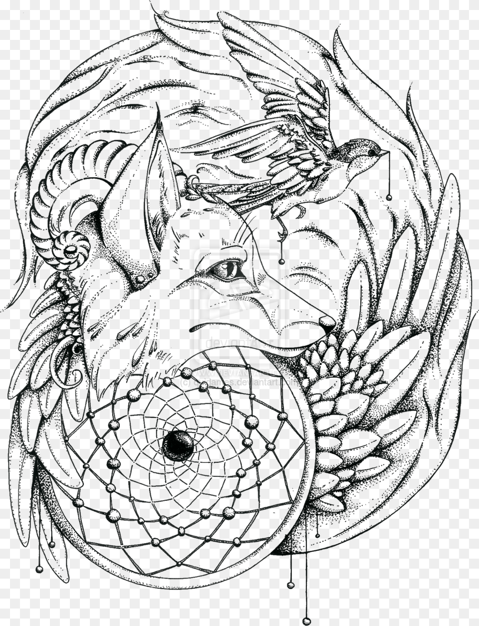 Wolf Dream Catcher Coloring Pages, Adult, Male, Man, Person Free Png Download