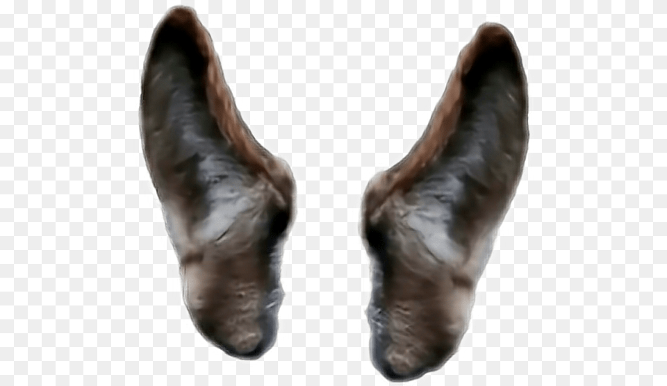 Wolf Ears, Person, Clothing, Glove, Footwear Free Png