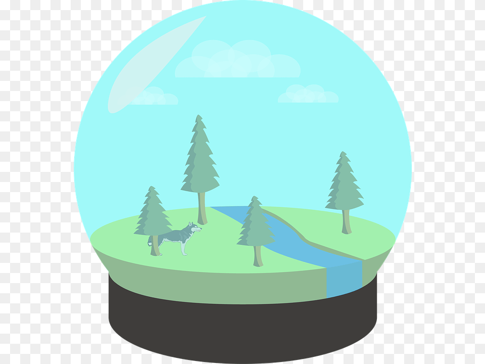 Wolf Ecosystem Glass Ecosystem Ecosystem In A Glass Ecosystem, Plant, Tree, Pine, Sphere Free Png
