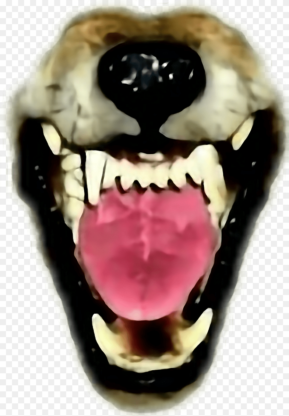 Wolf Ftestickers Mouth Teeth Fangs Snarl Werewolf Grey Wolf Snarling, Body Part, Person, Tongue, Face Free Png Download