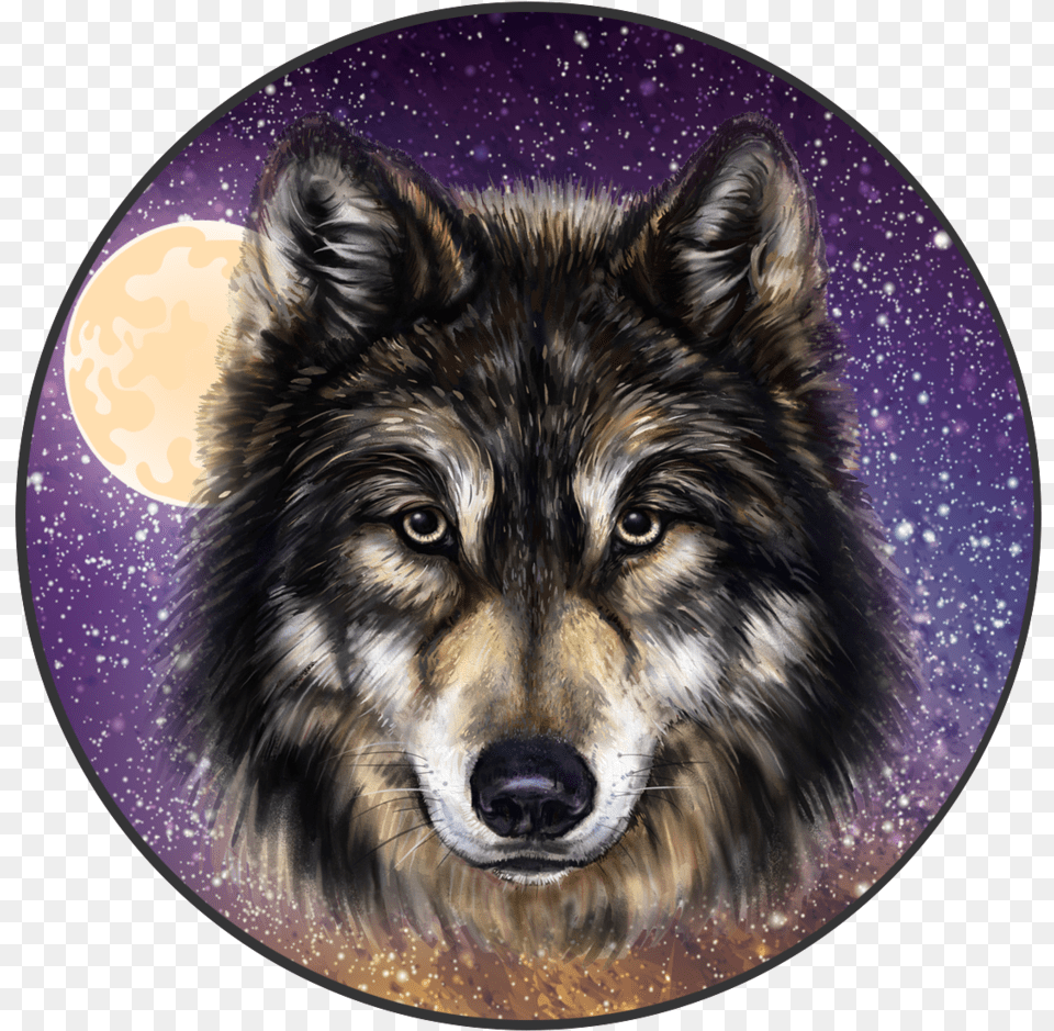 Wolf Head, Animal, Canine, Dog, Mammal Png