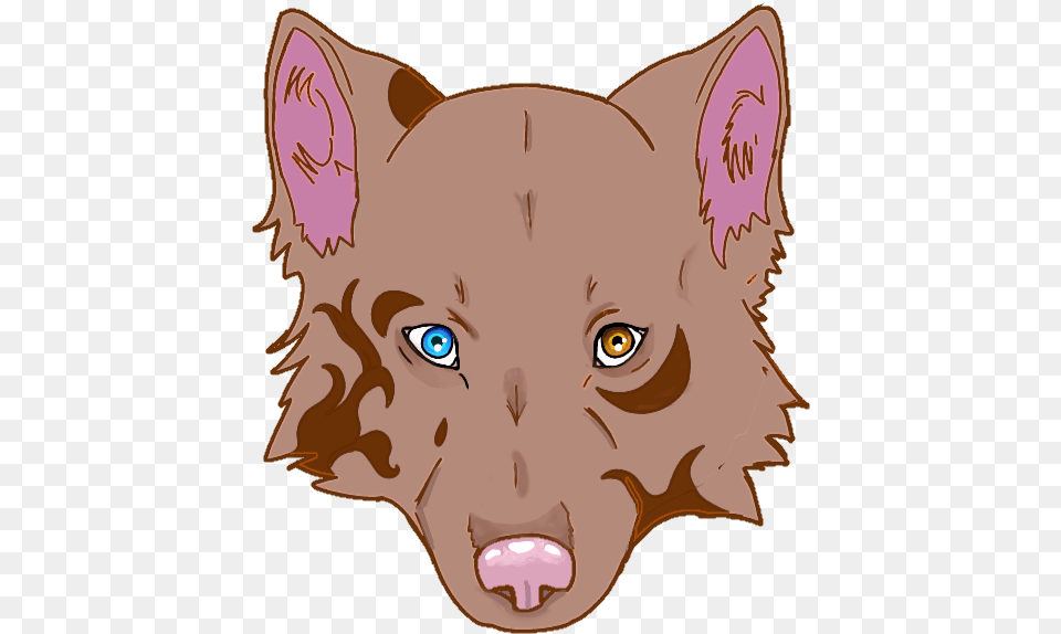 Wolf Head Album On Imgur Cartoon, Snout, Baby, Person, Face Free Png Download