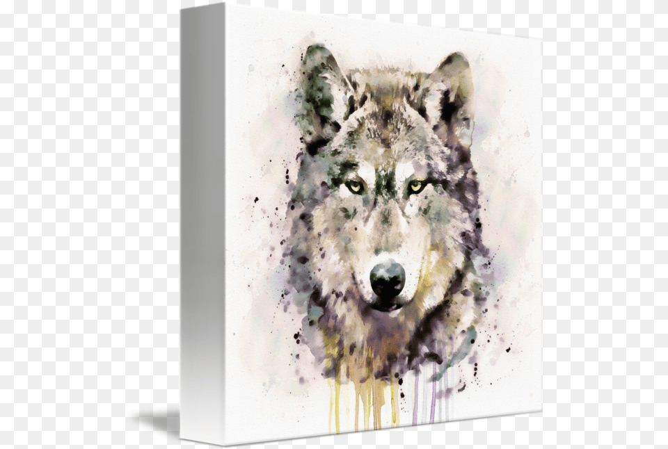 Wolf Head By Marian Voicu Promote Your Small Business Now Watercolor Wolf Head, Animal, Mammal, Cat, Pet Free Transparent Png