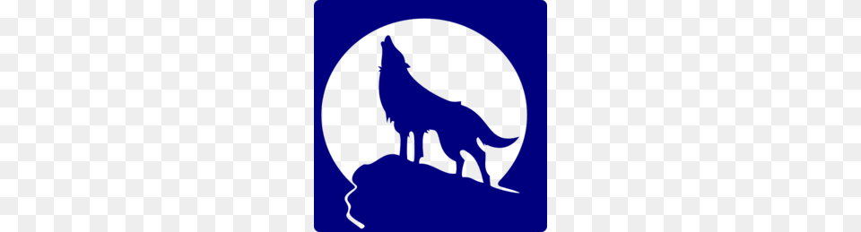 Wolf Head Clipart, Animal, Coyote, Mammal, Fish Png Image
