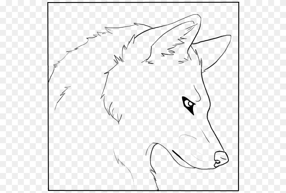 Wolf Head Line Drawing At Getdrawings Com Wolf Head Coloring Page, Baby, Person, Animal, Mammal Free Png Download