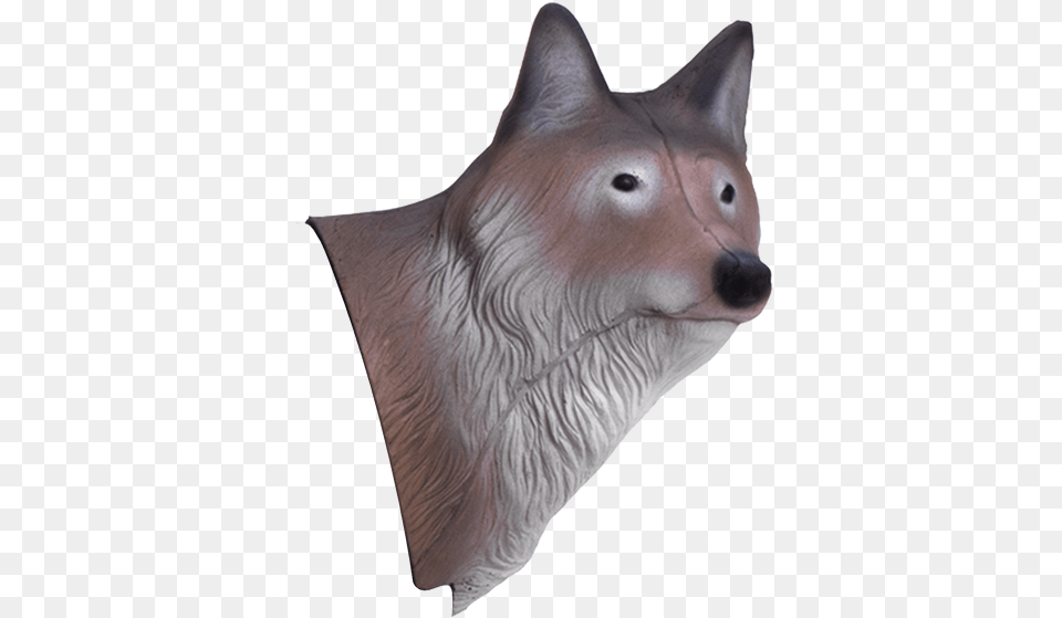 Wolf Head Wolf, Animal, Fish, Sea Life, Shark Png