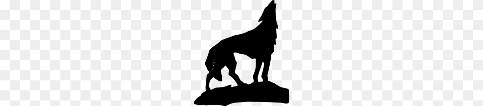 Wolf Howl, Gray Free Transparent Png