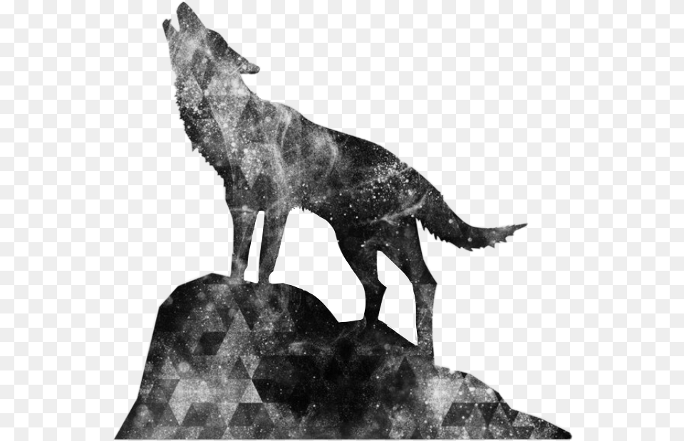 Wolf Howl Black Galaxy Glitter Freetoedit Transparent Wolf Howling, Animal, Coyote, Mammal, Person Png Image