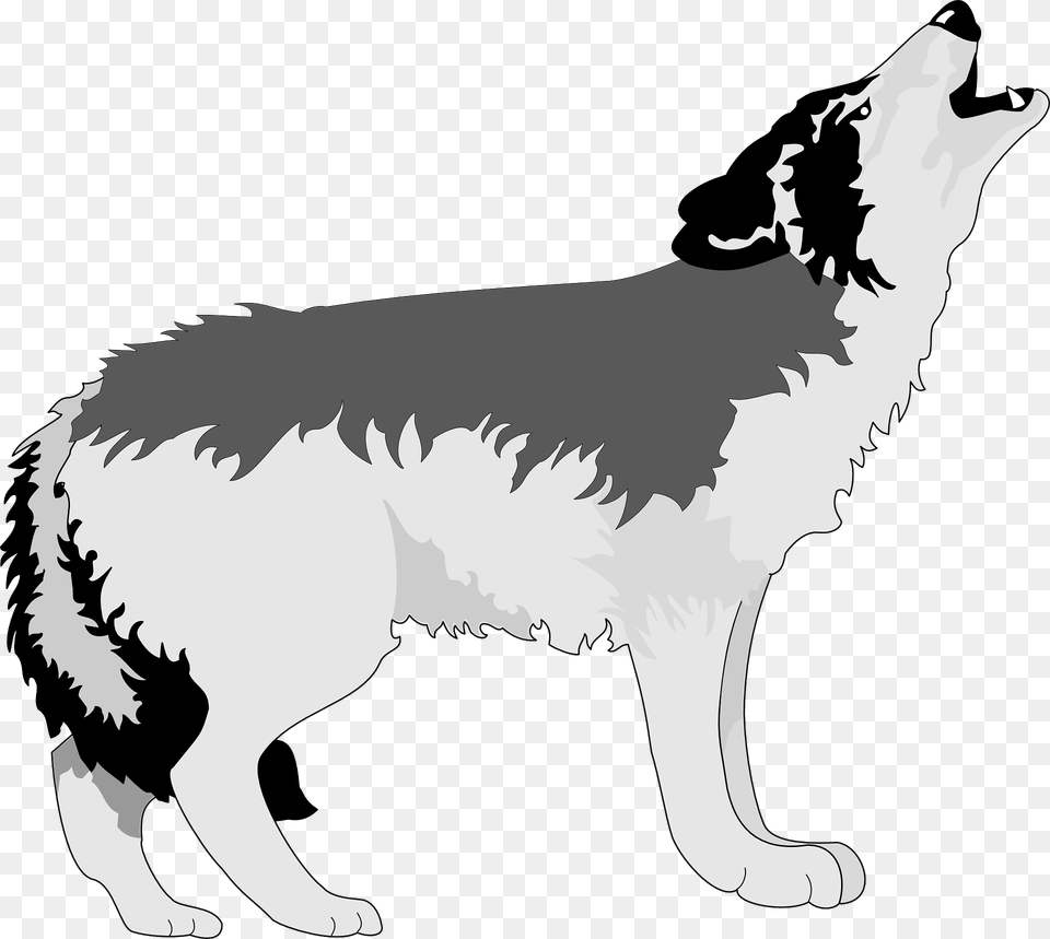 Wolf Howling, Animal, Canine, Dog, Mammal Png