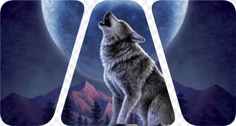 Wolf Howling At Moon 3d Art Download, Animal, Mammal, Coyote, Kangaroo Png