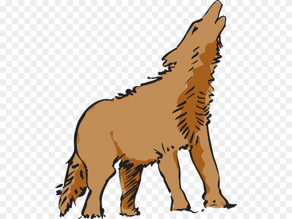 Wolf Howling Canine Lobo Coyote Dog Howl Clipart, Animal, Mammal, Adult, Female Free Png