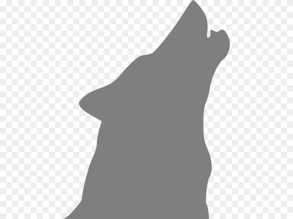 Wolf Howling Dog Canine Gray Pochoir Tete De Loup, Silhouette, Animal, Fish, Sea Life Png Image