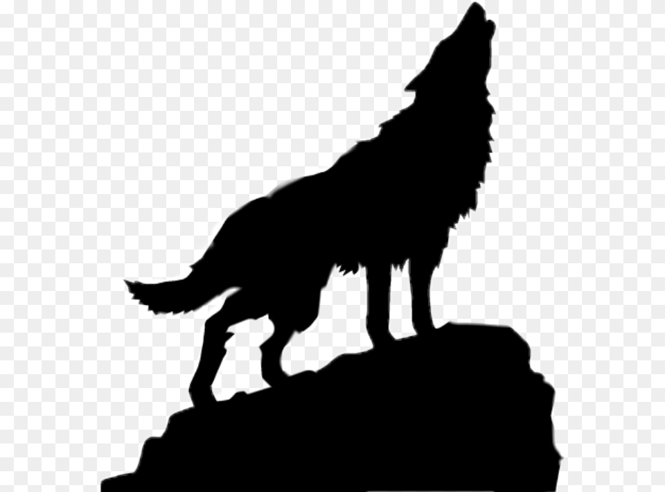 Wolf Howling Wolf Howling Silhouette, Animal, Coyote, Mammal, Baby Free Transparent Png